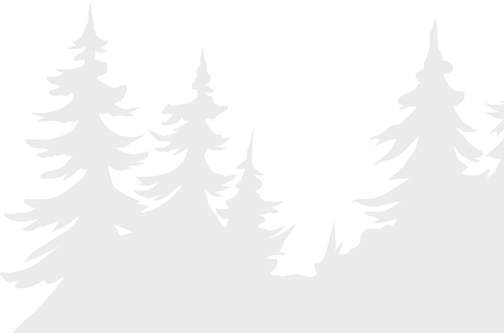 forester__image